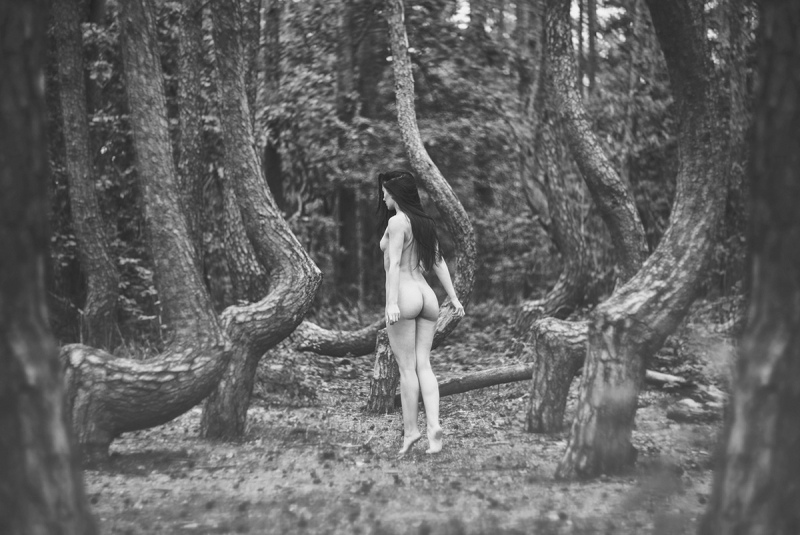 42edb39d437efb0d7fda82ea48c5c27d_pan